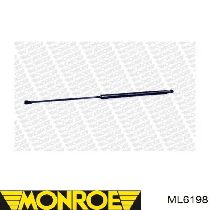 ML6198 Monroe