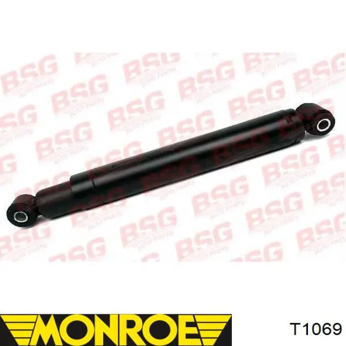 Амортизатор передний RS311234 Raiso