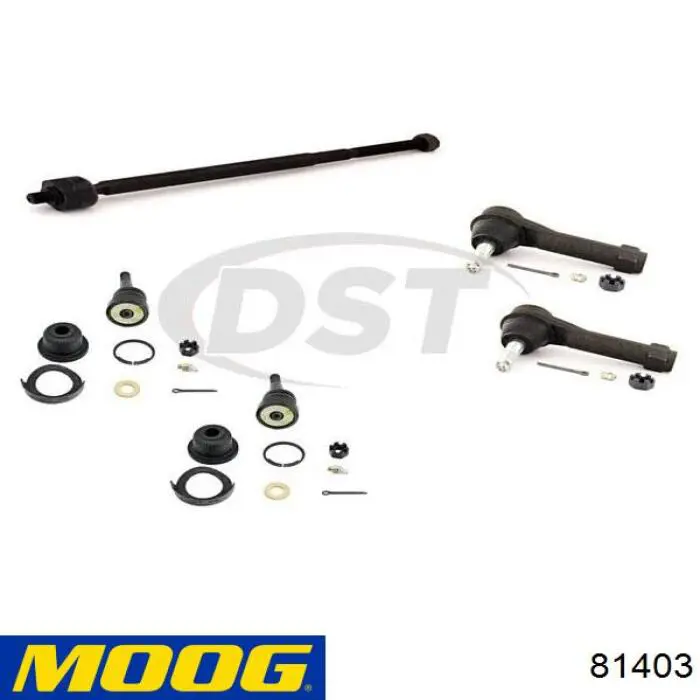 81403 Moog 