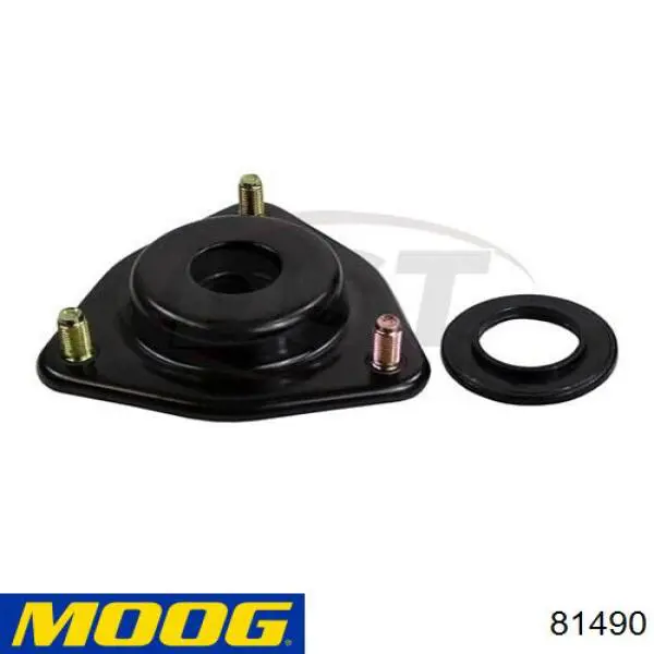 81490 Moog 