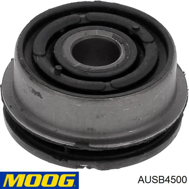 AUSB4500 Moog