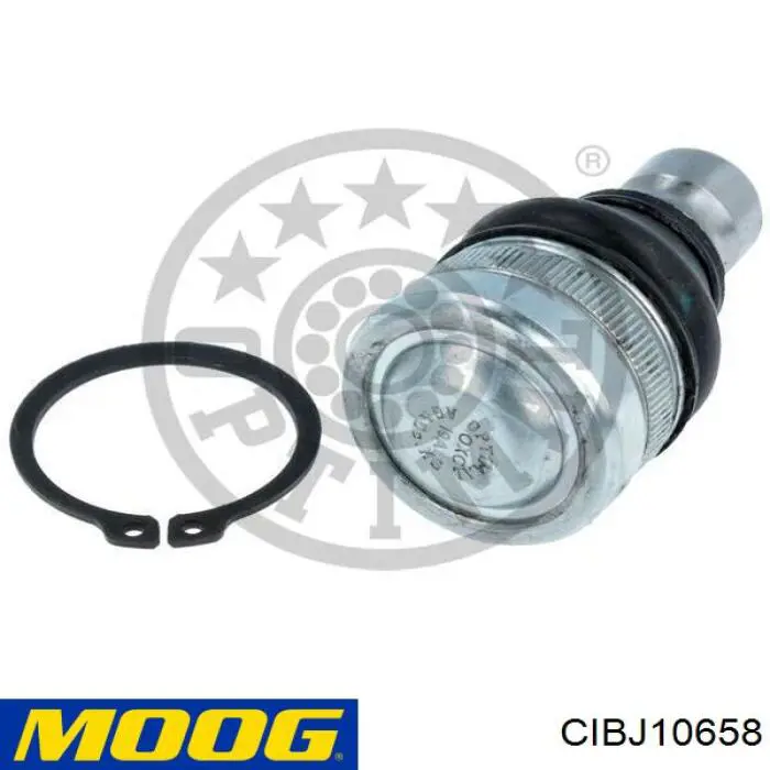 Нижняя шаровая опора Moog CIBJ10658