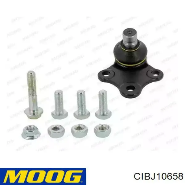 CIBJ10658 Moog Палец шаровой нижний