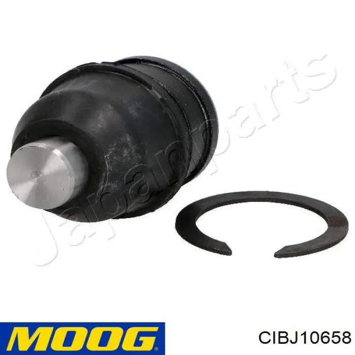 CIBJ10658 Moog Палец шаровой нижний