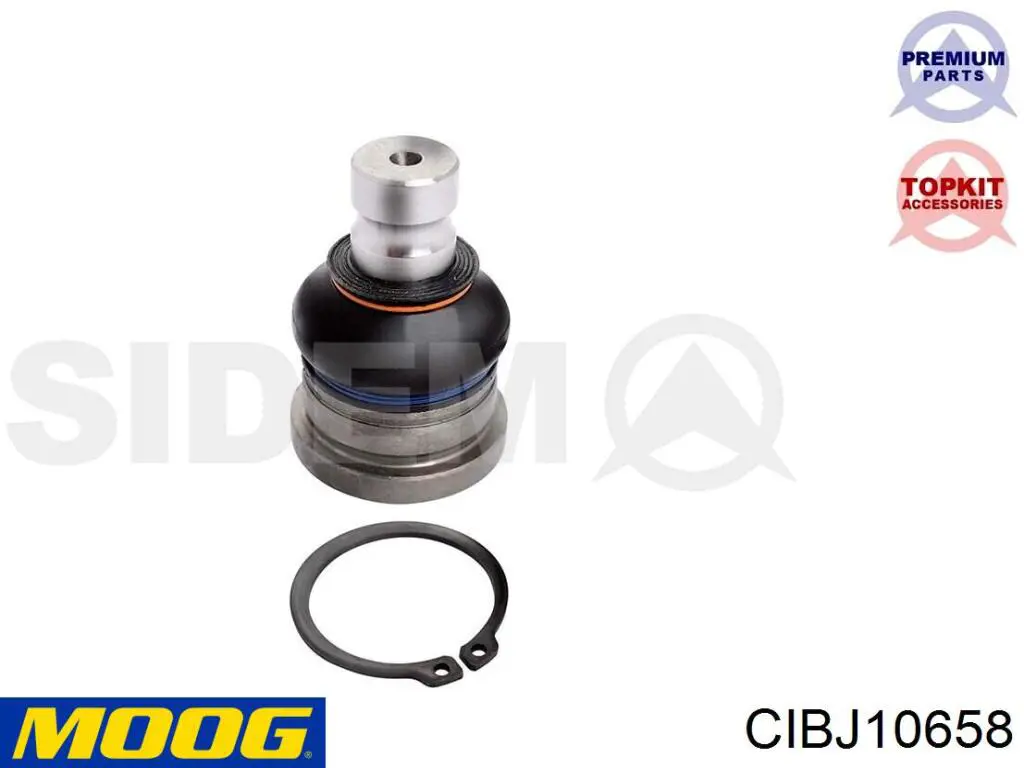 Купить CIBJ10658 Moog Нижняя шаровая опора