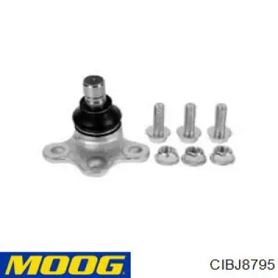 CIBJ8795 Moog Палец шаровой нижний