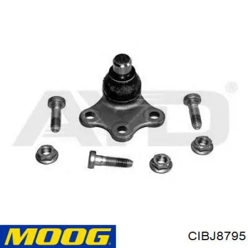 Rótula de suspensión inferior CIBJ8795 Moog
