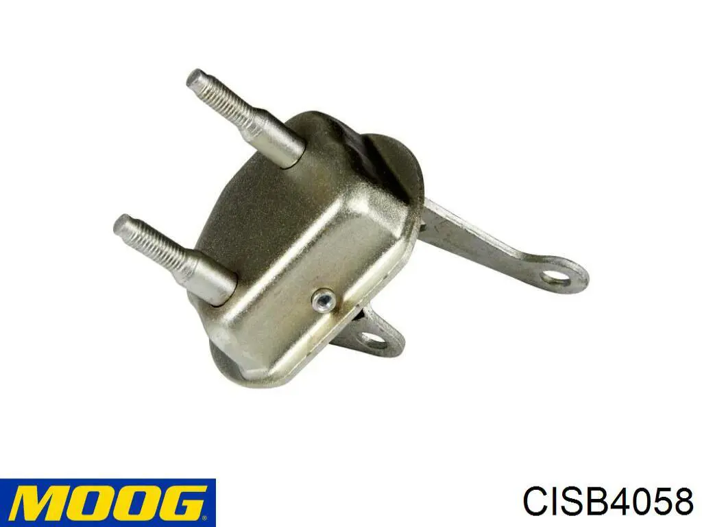 CISB4058 Moog