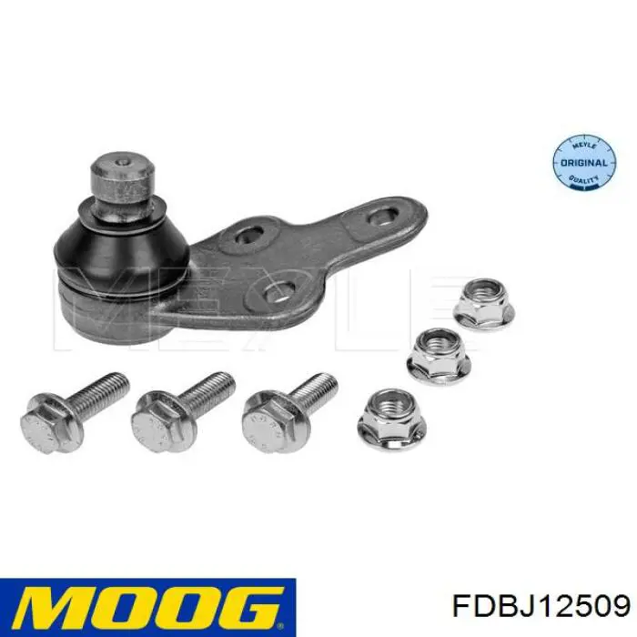 Rótula de suspensión inferior izquierda FDBJ12509 Moog