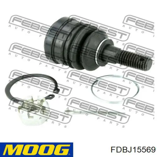 Rótula de suspensión superior FDBJ15569 Moog