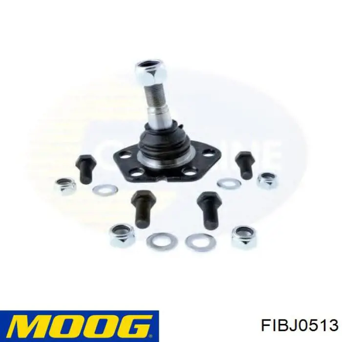 FIBJ0513 Moog Палец шаровой нижний