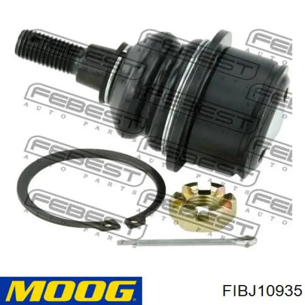 Rótula de suspensión inferior FIBJ10935 Moog