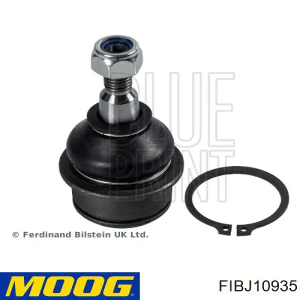 Купить FIBJ10935 Moog Нижняя шаровая опора