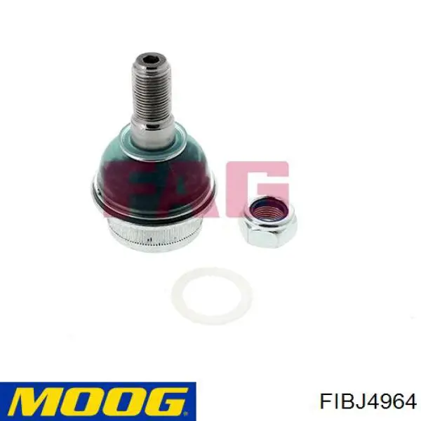 Верхняя шаровая опора Moog FIBJ4964 цена, от 14.03 USD