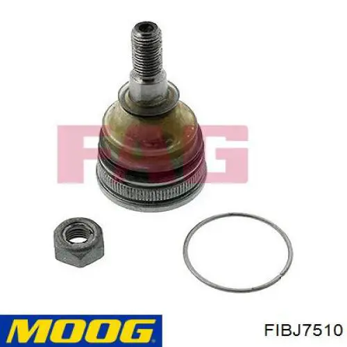 Шаровая опора, нижняя Moog FIBJ7510 цена, от 7.82 USD