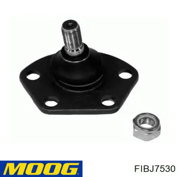 Шаровая опора, нижняя Moog FIBJ7530 цена, от 14.90 USD