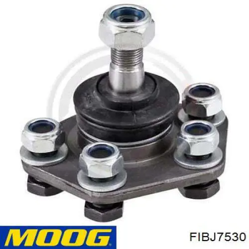 Купить FIBJ7530 Moog Нижняя шаровая опора