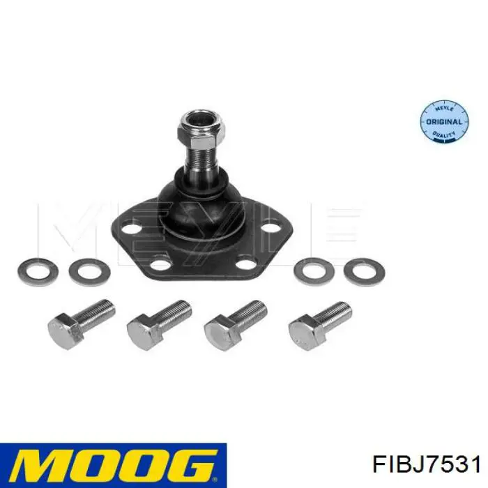 Rótula de suspensión inferior FIBJ7531 Moog