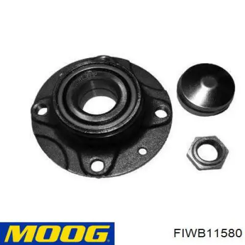 FIWB11580 Moog ступица задняя