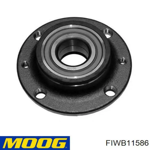 Cubo de rueda trasero FIWB11586 Moog