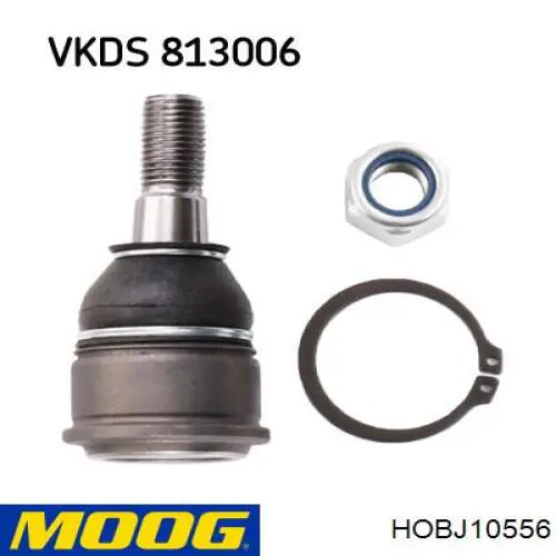 Rótula de suspensión inferior HOBJ10556 Moog