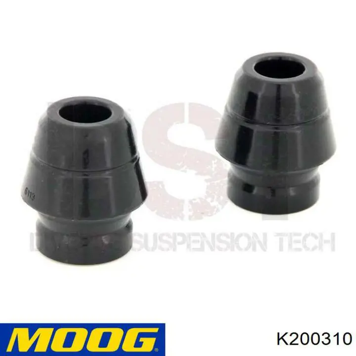  K200310 Moog