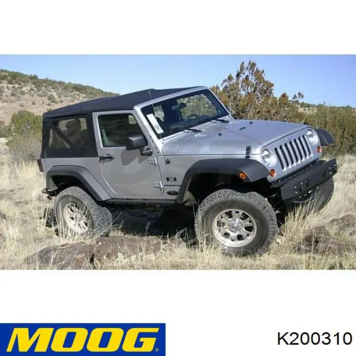  Moog K200310