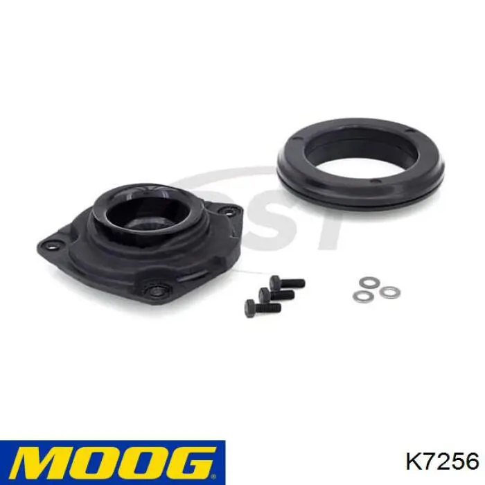  K7256 Moog