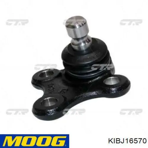 KIBJ16570 Moog