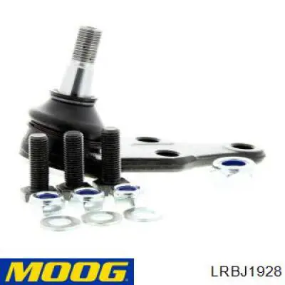 Шаровая опора, нижняя Moog LRBJ1928 цена, от 17.28 USD