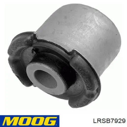 LRSB7929 Moog
