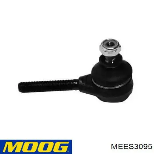 MEES3095 Moog