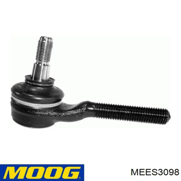 MEES3098 Moog