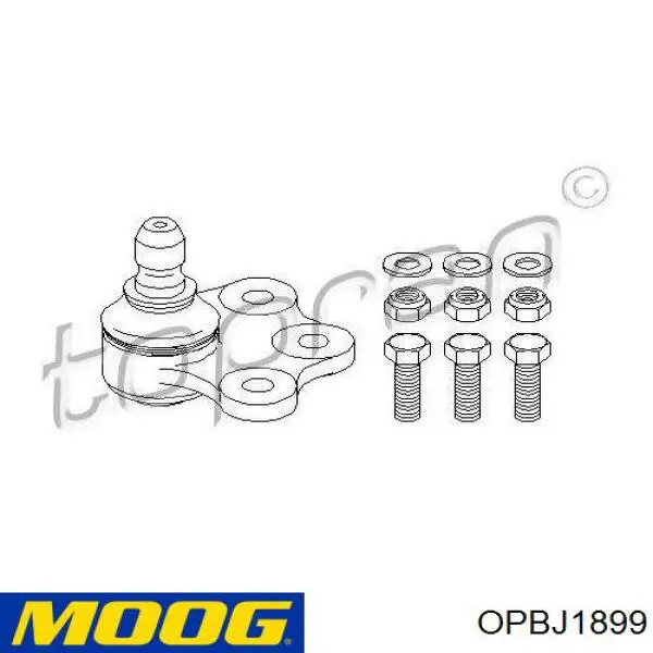 Купить OPBJ1899 Moog Шаровая опора, нижняя, левая
