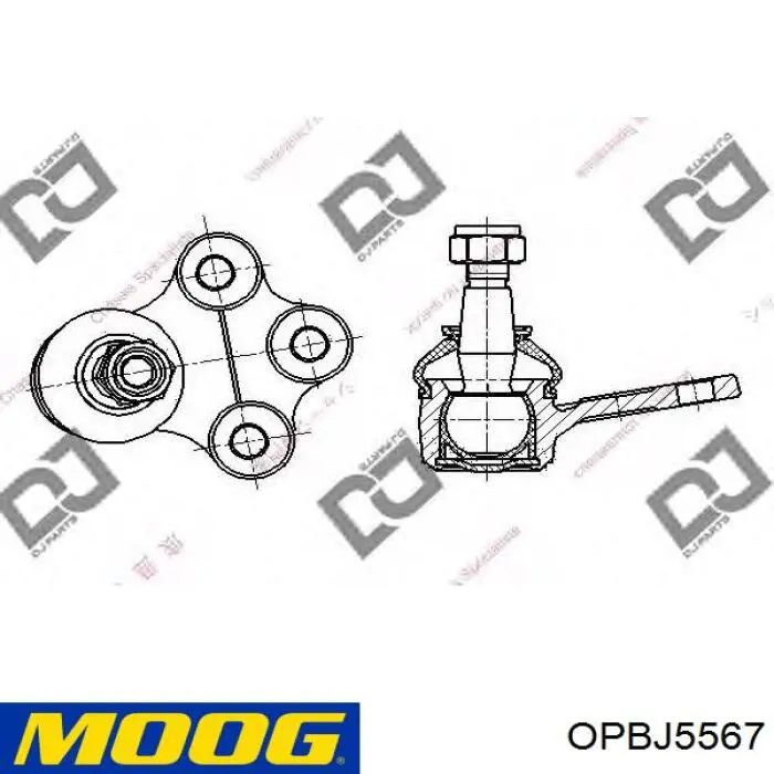 Купить OPBJ5567 Moog Нижняя шаровая опора
