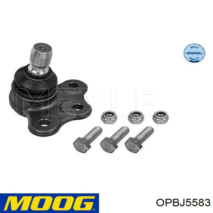 Шаровая опора, нижняя Moog OPBJ5583 цена, от 10.09 USD