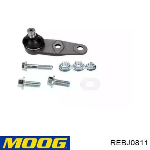REBJ0811 Moog Палец шаровой нижний