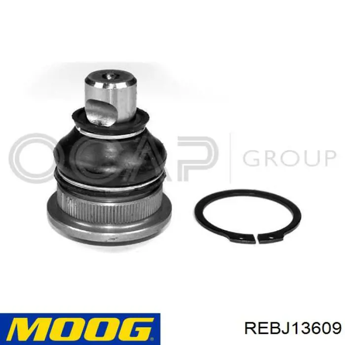 Rótula de suspensión inferior REBJ13609 Moog