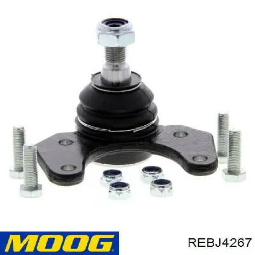 Купить 7701461331 Renault (RVI) Нижняя шаровая опора