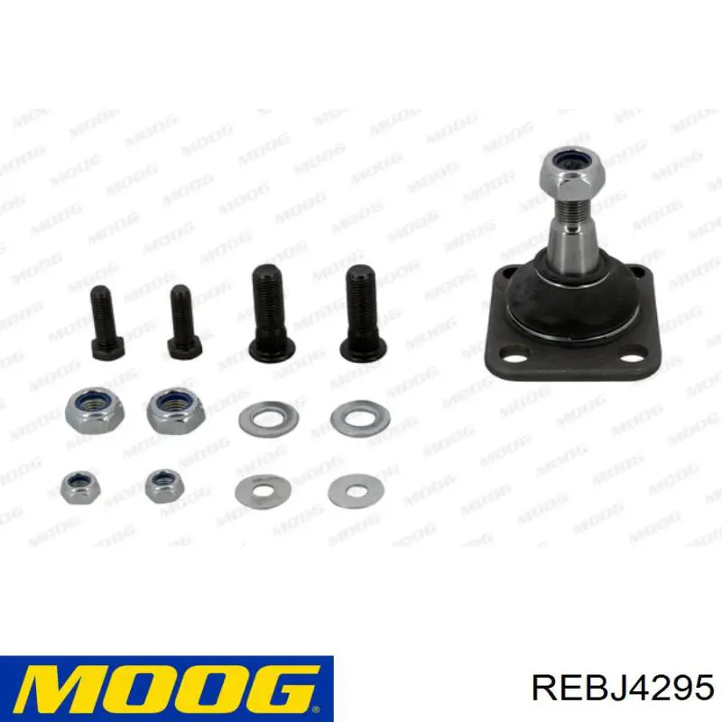 Rótula de suspensión superior REBJ4295 Moog