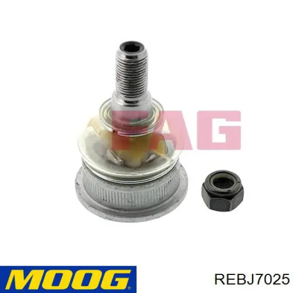 Шаровая опора, нижняя Moog REBJ7025 цена, от 8.92 USD