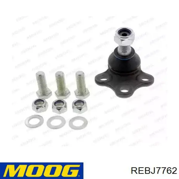 Rótula de suspensión inferior REBJ7762 Moog