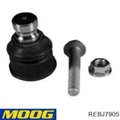 Нижняя шаровая опора Moog REBJ7905