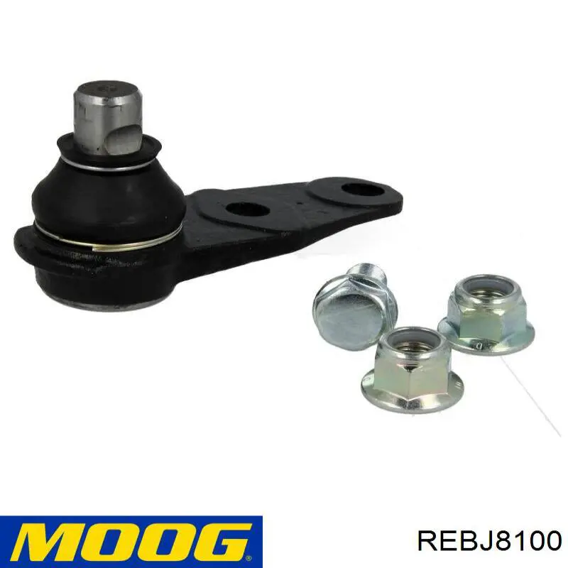 Rótula de suspensión inferior REBJ8100 Moog