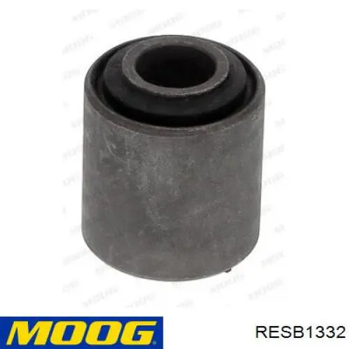RESB1332 Moog