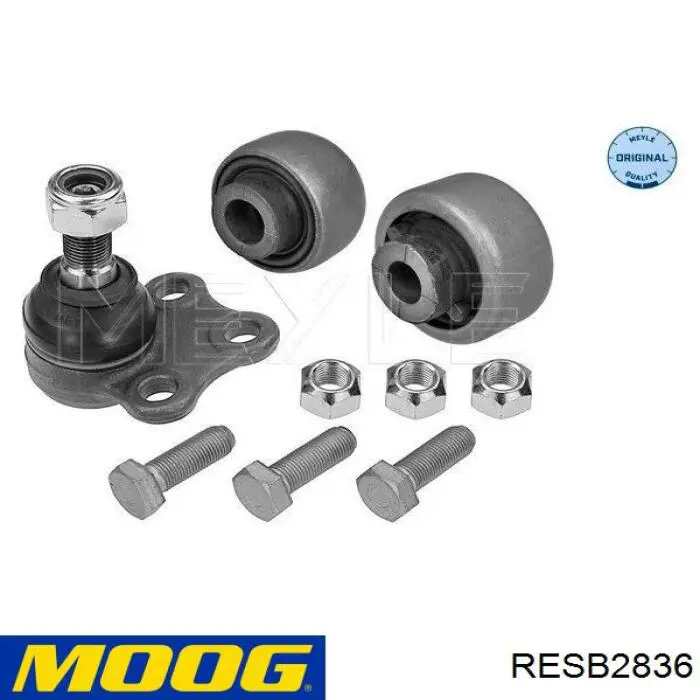 Купить RESB2836 Moog Сайлентблок нижний передней подвески
