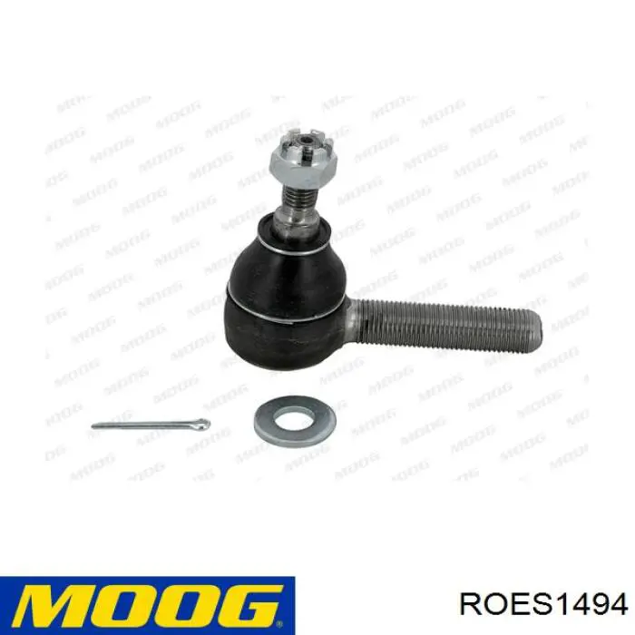 ROES1494 Moog