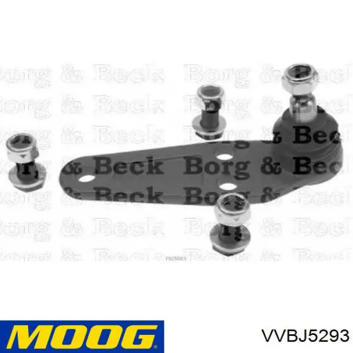 Шаровая опора правая нижняя  Moog VVBJ5293