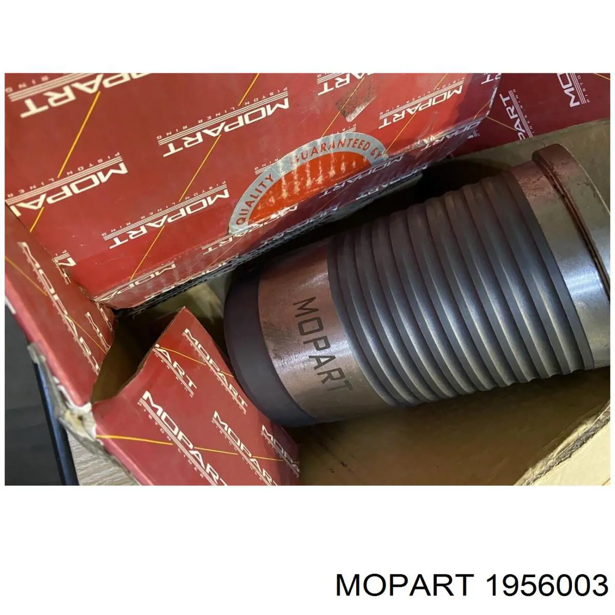 19-56003 Mopart клапан впускной