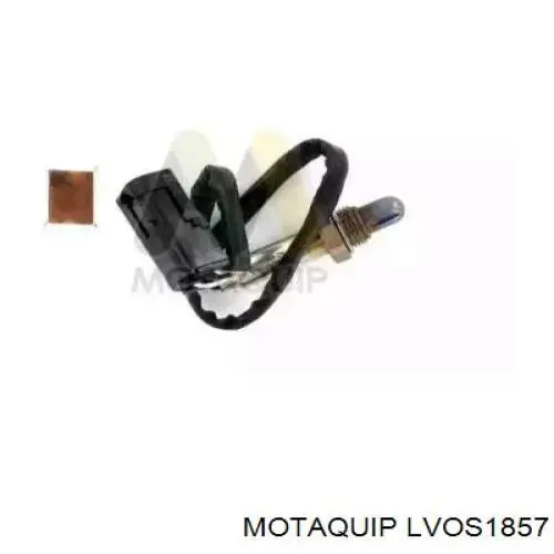  LVOS1857 Motaquip